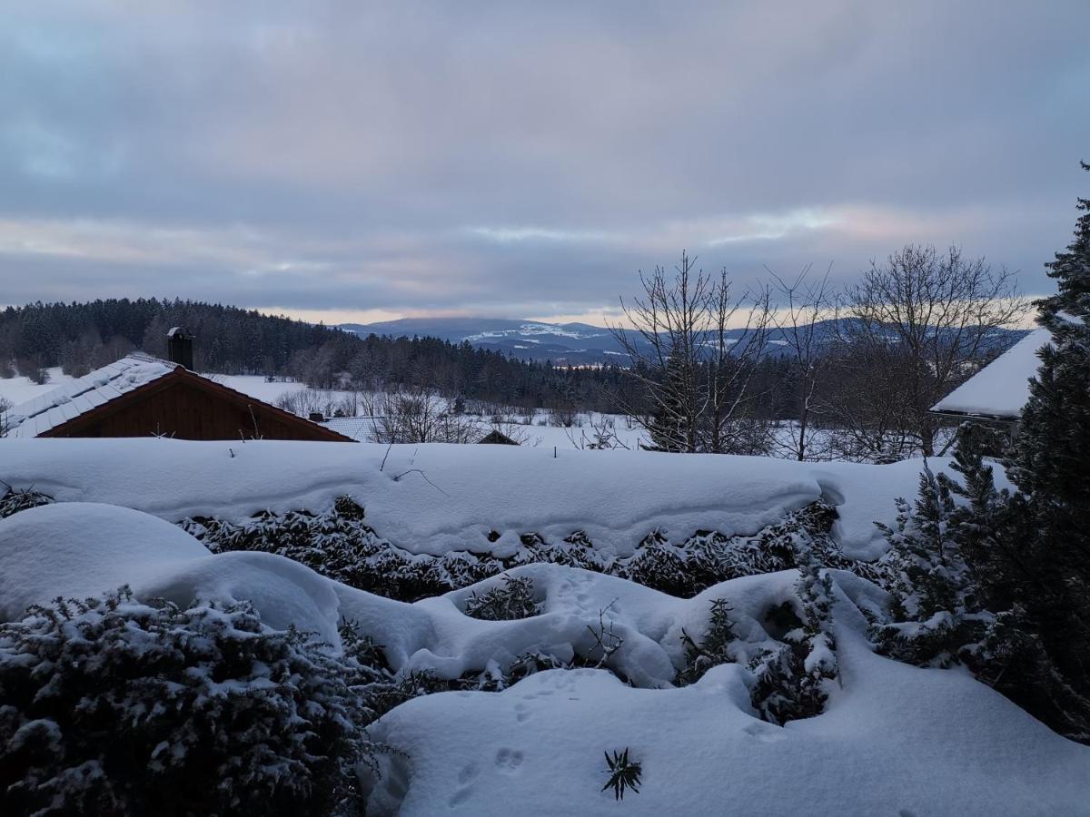 Ferienwohnungen "Haus Daxberg" Idyllisch Gelegen Im Bayerischen Wald Eppenschlag Exterior foto