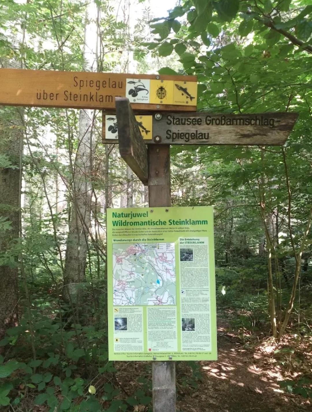 Ferienwohnungen "Haus Daxberg" Idyllisch Gelegen Im Bayerischen Wald Eppenschlag Habitación foto